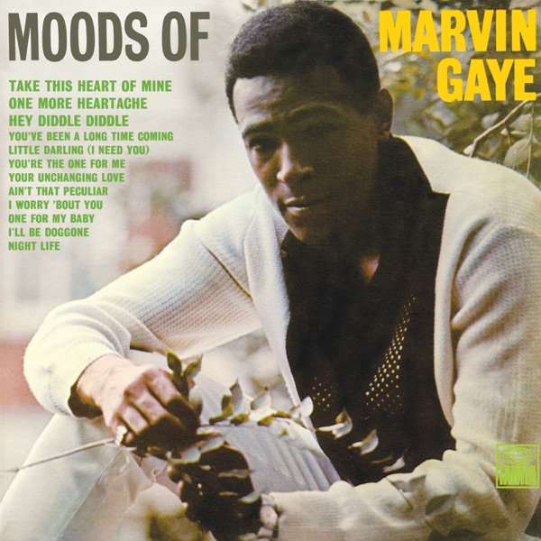 Marvin Gaye - Moods of Marvin Gaye album cover